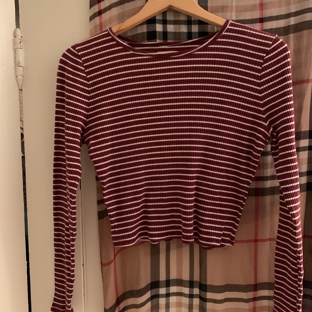 Hollister Slightly Cropped Tee